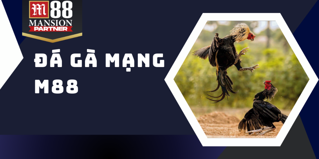 Đá gà mạng M88 - Sân chơi chọi gà đỉnh cao uy tín số 1 châu Á