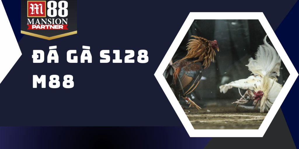 Đá gà S128 - Sân chơi cá cược đá gà hấp dẫn số 1 châu Á